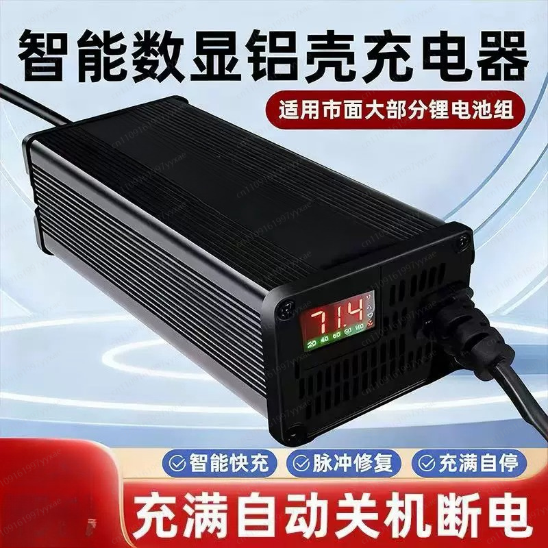 Cargador Inteligente LiFePO4 L - 72V 15A Fast Charger reseña y precio